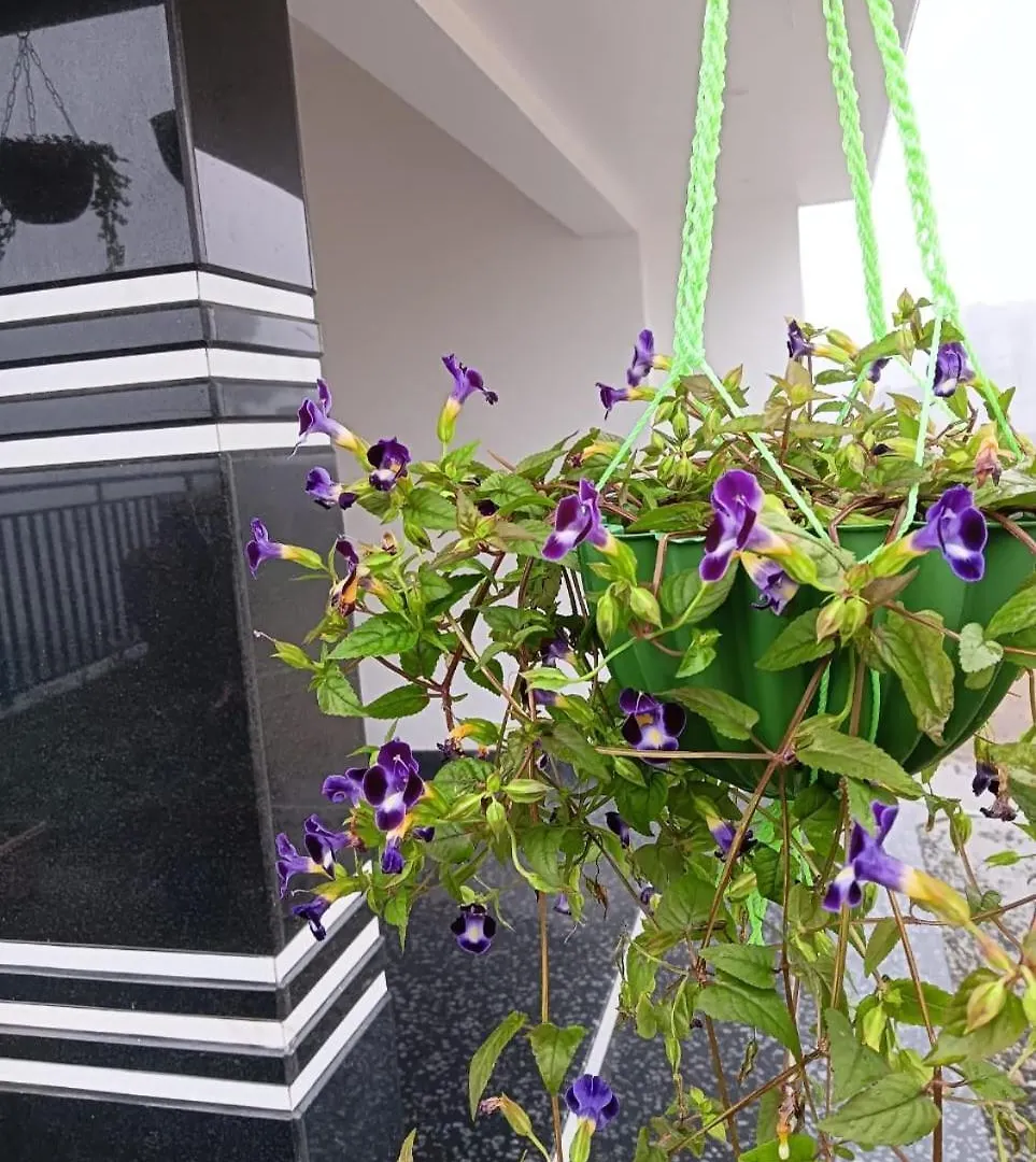 Bro Code Marayoor Villa Maraiyur Holiday home